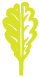 leaf fopp logo-green-01