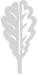 leaf fopp logo-silver-01